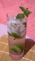 ANOTHER MOJITO